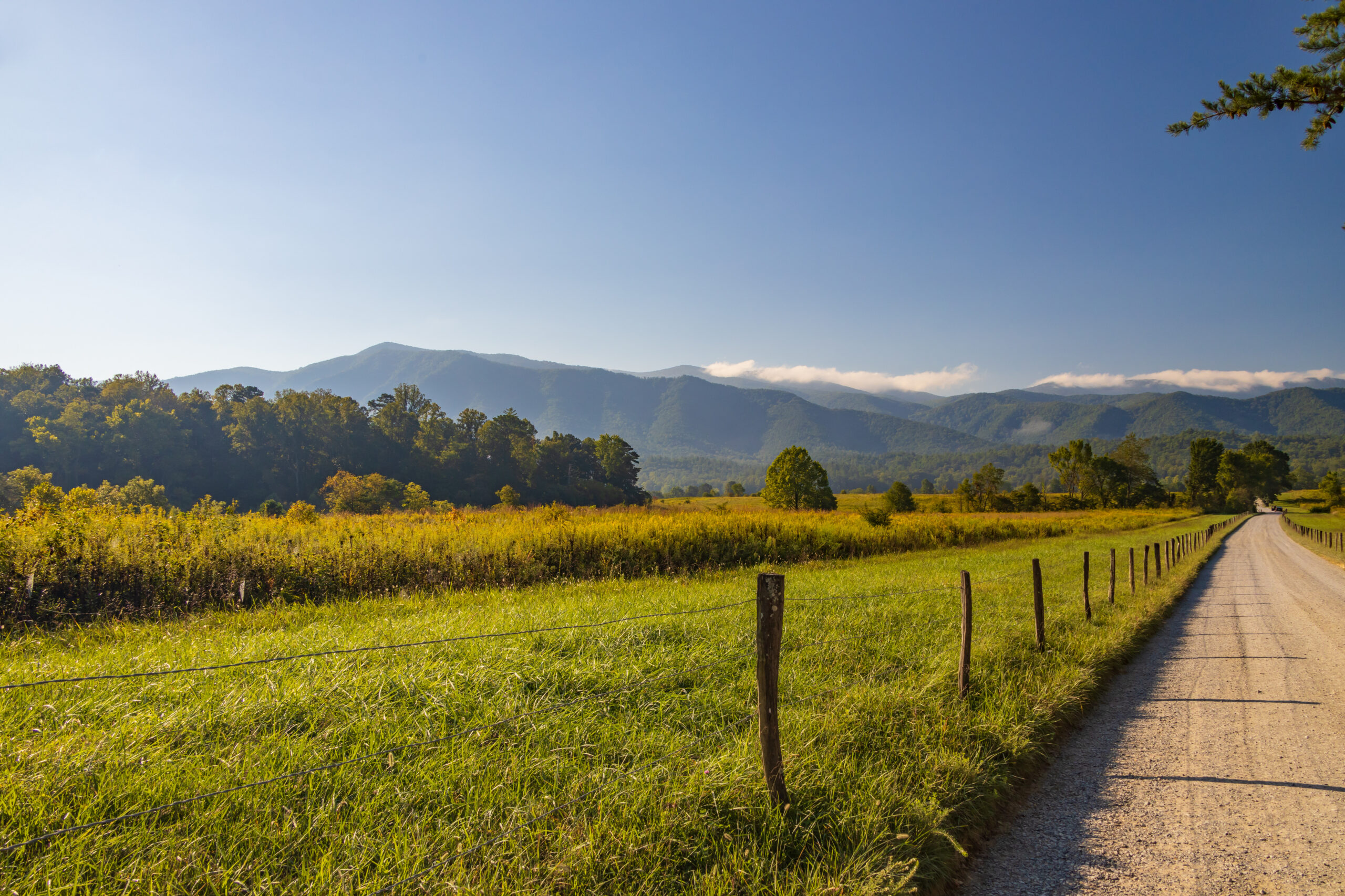 Is Morristown a Good Place to Buy a New Home?